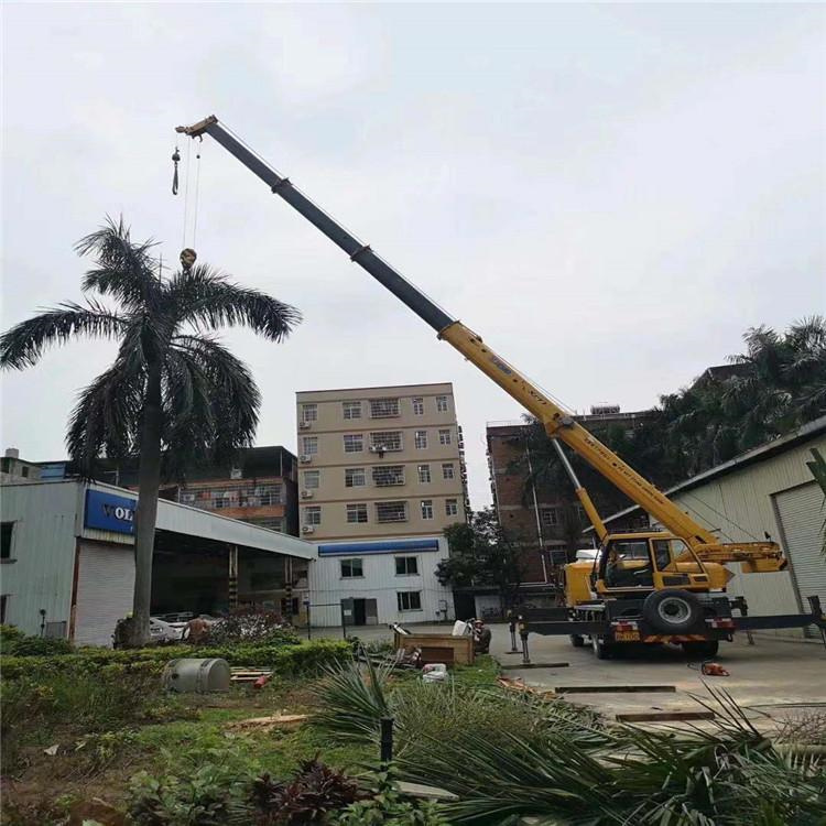 东郊镇汽车吊出租多少钱？全面解析与市场行情